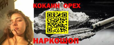 гидропоника Моздок
